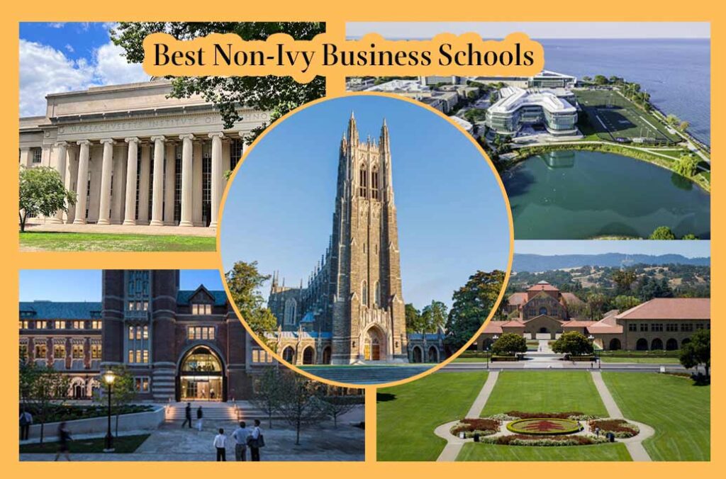 Best Non-Ivy Business Schools